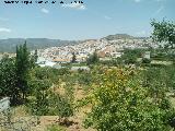 Huertas de Castillo de Locubn. 