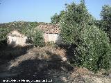 Cortijo de las Hazas del Cerro. Parte trasera