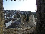 Castillo de Sabiote. Torre Abaluardada. Vistas