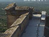 Castillo de Sabiote. Torre Abaluardada. Azotea