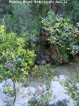 Cascada de la Cerrada de Elas. 