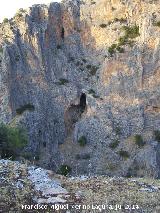 Cueva de las Palomas. 
