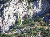 Cueva de Navaltrillo. 