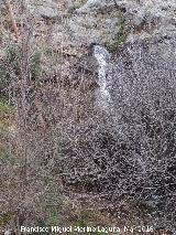 Fuente de la Pea. Nacimiento ocasional