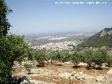 Jamilena. Al fondo Torredonjimeno