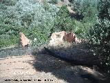 Casilla Molino. 