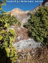 Poblado del cobre de la Cerradura. 