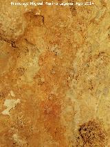 Pinturas rupestres del Abrigo del Zumbel Bajo. 