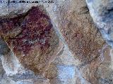 Pinturas rupestres de la Cueva de la Graja-Grupo XIII. Figura a la derecha de la escena de domesticacin