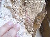 Pinturas rupestres de la Cueva de la Graja-Grupo XVI. Restos de pinturas