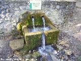 Fuente de la Cueva del Peinero. 