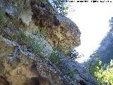 Cueva del Peinero. Formaciones calcreas en el exterior de la cueva