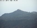 Cerro del Cabezo. 