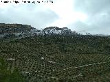 La Cimbra. Desde el Mirador del Cabrahigos