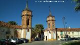 Torres de la Aduana. 