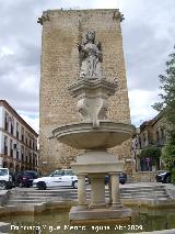 Fuente de la Plaza. 