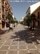 Calle Jardines. 