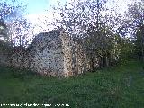 Cortijo de la Camua. Corral