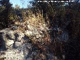 Yacimiento Cortijo del Fondo de las Caseras de San Isidro. 