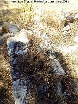 Yacimiento Cortijo del Fondo de las Caseras de San Isidro. Muro