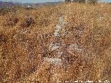 Yacimiento Cortijo del Fondo de las Caseras de San Isidro. 