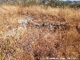 Yacimiento Cortijo del Fondo de las Caseras de San Isidro. 