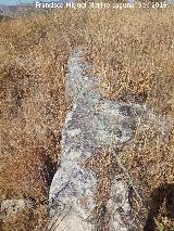 Yacimiento Cortijo del Fondo de las Caseras de San Isidro. Muro