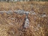 Yacimiento Cortijo del Fondo de las Caseras de San Isidro. 