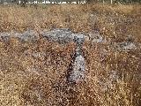 Yacimiento Cortijo del Fondo de las Caseras de San Isidro. 