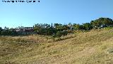 Casas de los Solteros del Centenillo. Vistas hacia el Centenillo