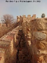 Castillo de Lopera. Adarve