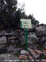 Barranco de Valdeazores. 