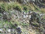 Molino del Romano. Restos de la acequia que llevaba el agua al molino