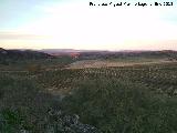 Yacimiento Ermita de San Bartolom. Vistas