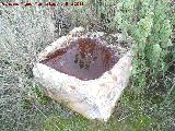 Yacimiento Ermita de San Bartolom. Pileta