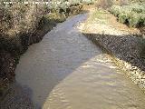 Ro Fro. En crecida por el Puente Viejo de los Villares