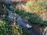 Ro Fro. A la altura del Puente Romano Pequeo