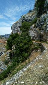 Camino de la Canalizacin. 