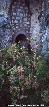 Camino de la Canalizaci�n de Los Villares. T�nel despu�s del confinamiento