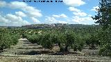 Yacimiento Las Monjas. Vistas hacia Obulco