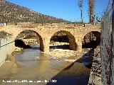 Puente de Martos. 