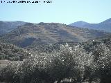 Cerro Cerrajn. 