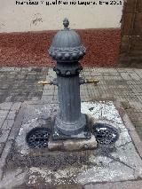 Fuente de la Plaza Gallego Daz. 