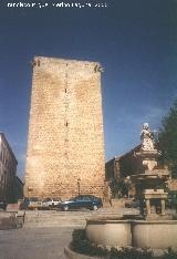 Castillo de Meng�bar. 