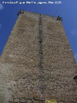 Castillo de Meng�bar. 