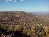 Cerro del Acero. 