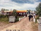 Romera de la Virgen de la Estrella. Caballos