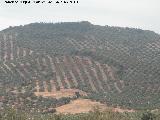 Cerro del Castelln. 