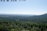 Castillo de Torre Alver. Vistas