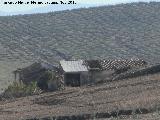 Cortijada de Jubera. Desde la Caada de Cazalilla